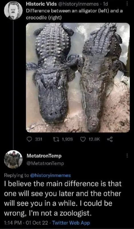 Alligator Versus Crocodile Difference