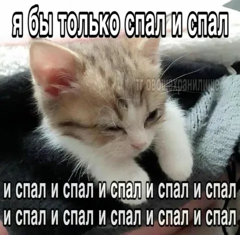 Я бы только спал
