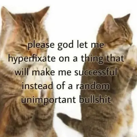 Cats Praying for Productive Hyperfixation