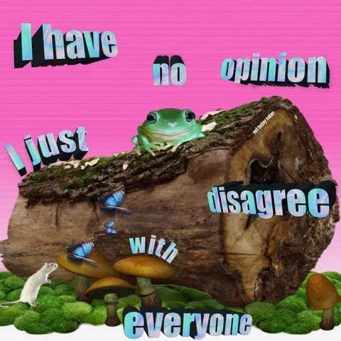 I Have No Opinion, I Just Disagree