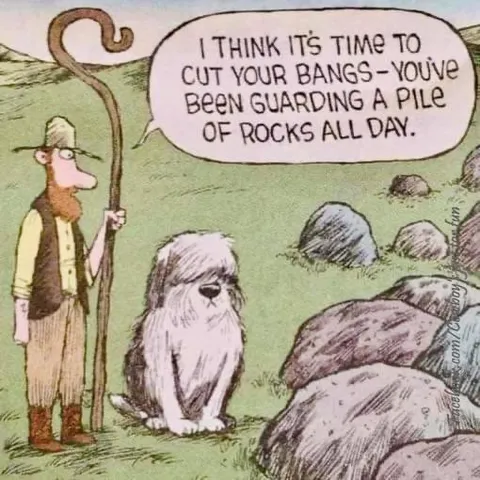 Guarding a Pile of Rocks