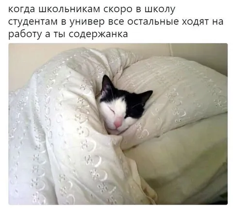 Когда всем на работу, а ты содержанка