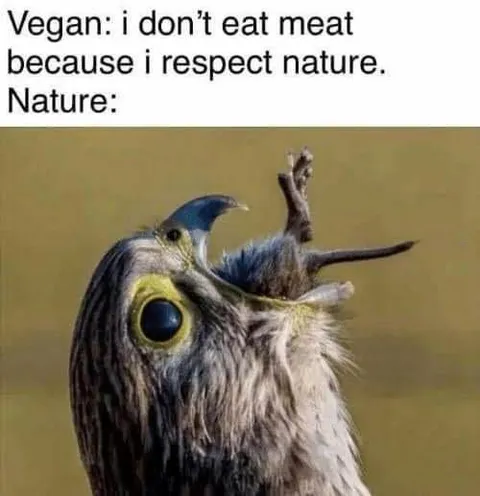 Vegan Respects Nature