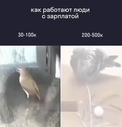 Как работают люди с зарплатой