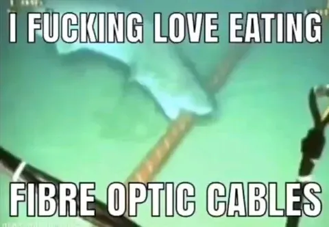 I Fucking Love Eating Fibre Optic Cables