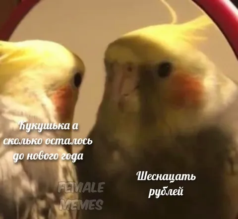 Шеснацать рублей до Нового года