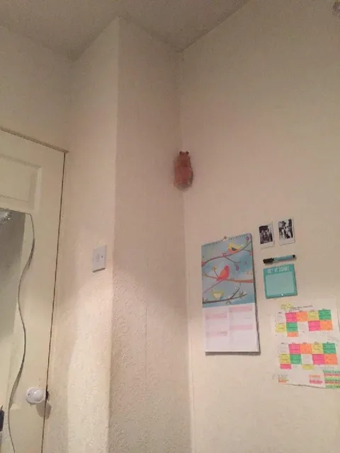 Get It Done Wall Planner