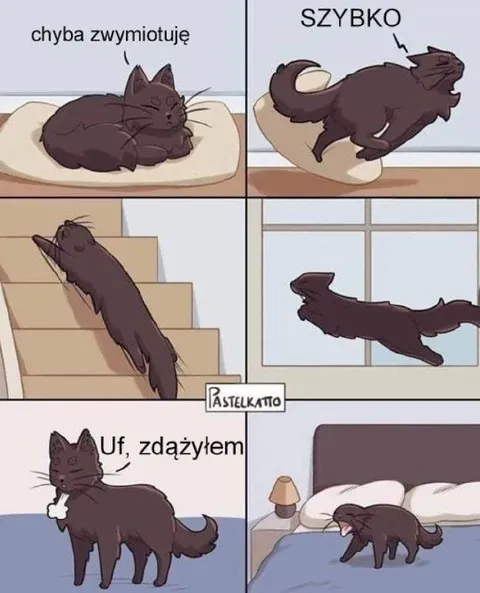 Kot zdążył zwymiotować