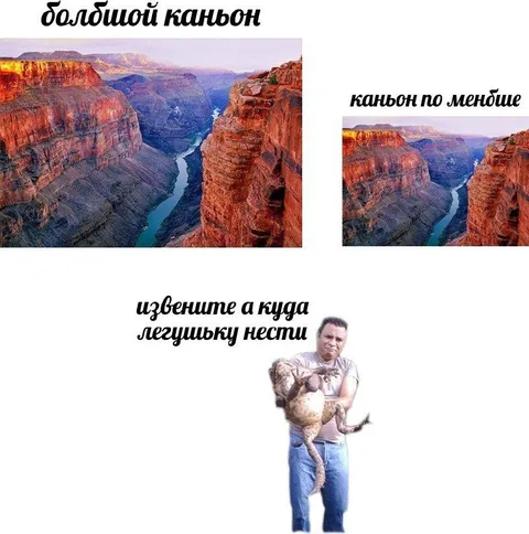 Куда нести лягушку
