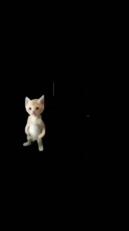 Michael Cat Says Goodbye
