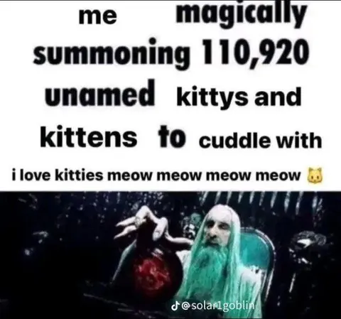 Magically Summoning Kitties