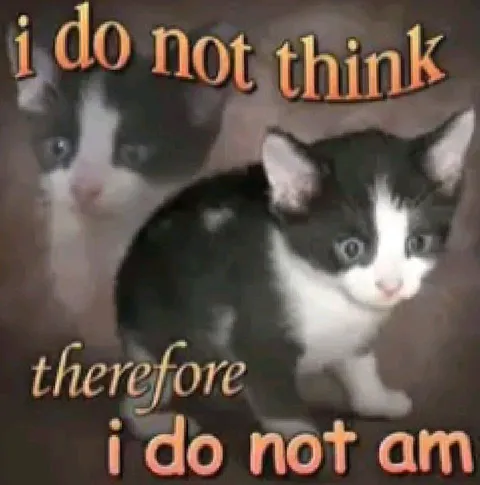 I Do Not Think Therefore I Do Not Am