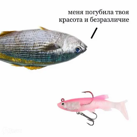Красота и безразличие