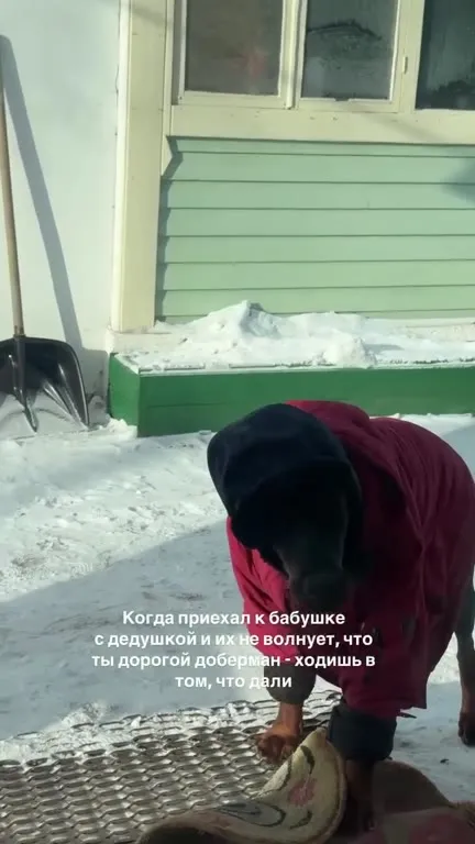 Дорогой доберман в старой одежде