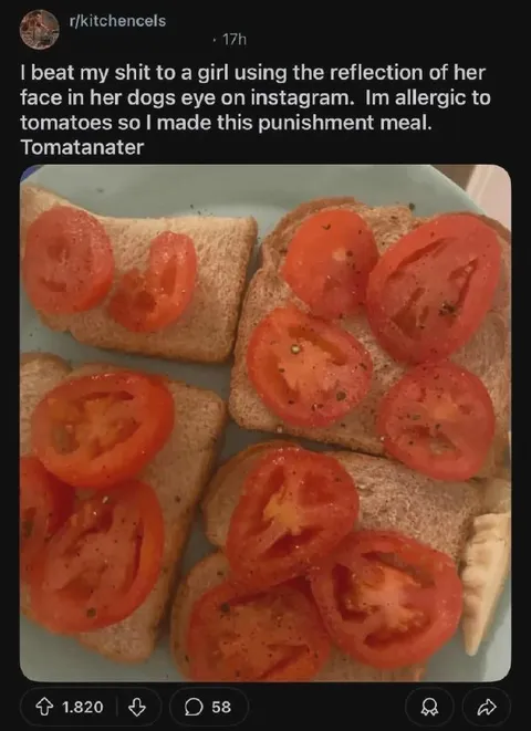 Tomato Punishment Meal