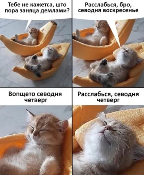 Расслабься, сегодня четверг