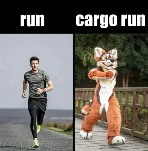 Run Cargo Run