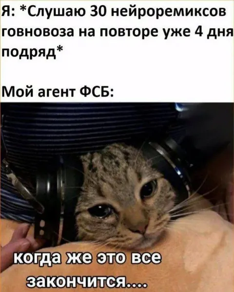 Агент ФСБ слушает кота