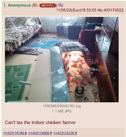 Indoor Chicken Farmer