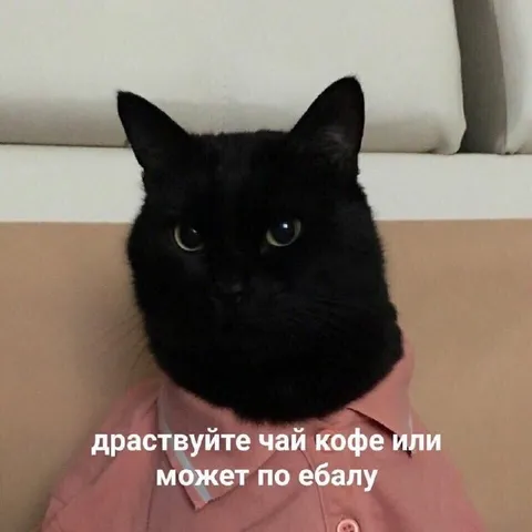 Чёрный кот предлагает чай или кофе