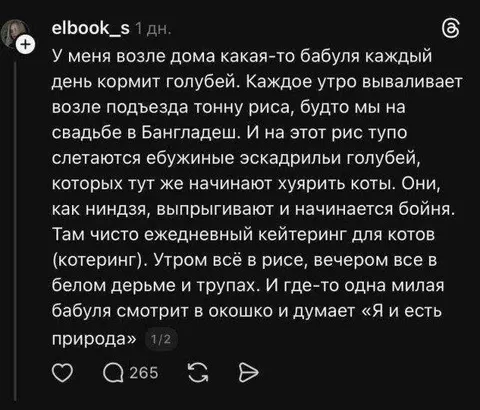 Ежедневный кошачий кейтеринг