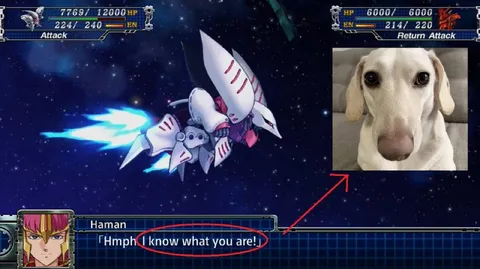 I Know What You Are Dog Reaction