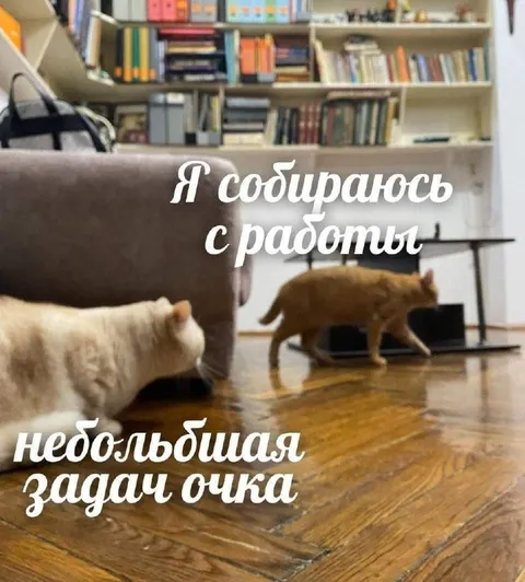 Собираюсь с работы
