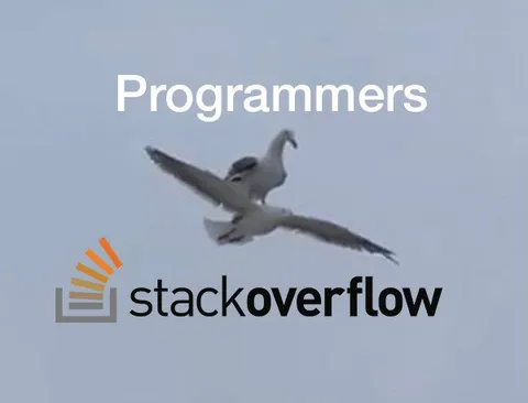 Programmers Use Stack Overflow
