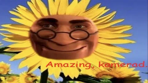 Amazing Kamerad Sunflower
