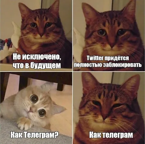 Twitter полностью заблокируют