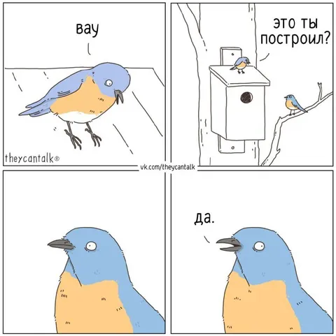 Вау, это ты построил?