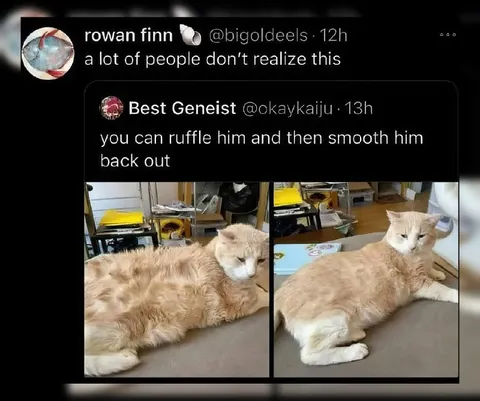 Ruffle Him, Smooth Him Back Out