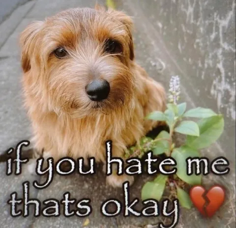 If You Hate Me Thats Okay