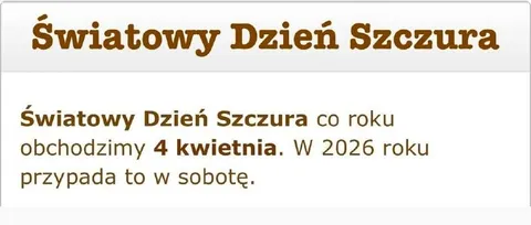 Światowy Dzień Szczura w sobotę