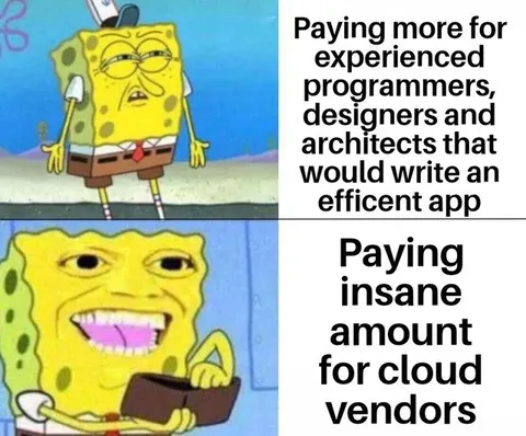 Experienced Programmers vs Cloud Vendors