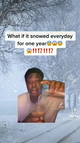 Snow Every Day for a Year