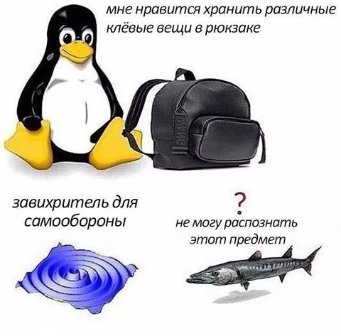 Пингвин хранит клёвые вещи