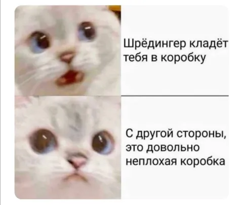 Шрёдингер кладёт тебя в коробку