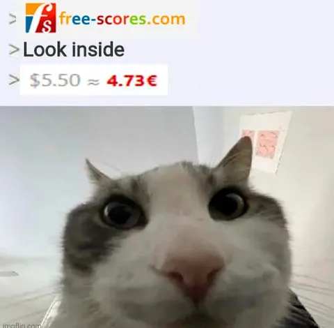 Look Inside Cat Reaction