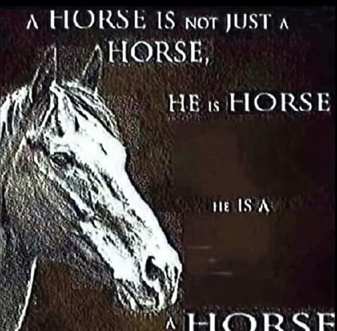 A Horse Is Horse