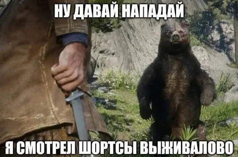 Шорты выживаловo и медведь