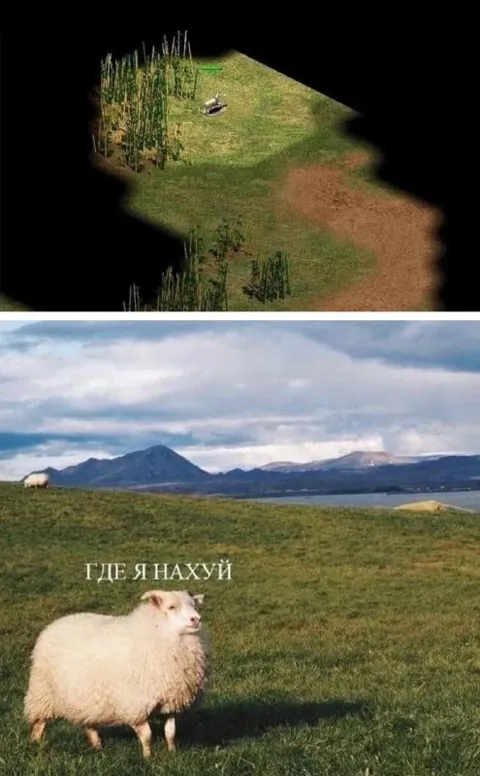 Где я нахуй в тумане войны