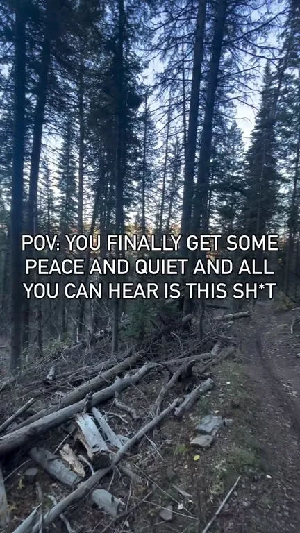 Peace and Quiet, Except for This