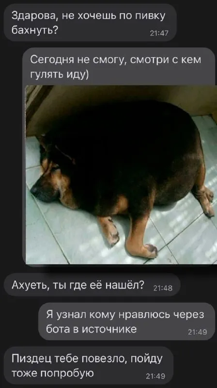 С кем гулять иду