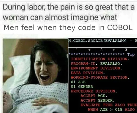 Men Coding in COBOL