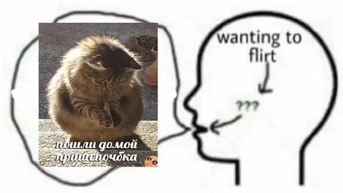 Ёжик зовёт домой