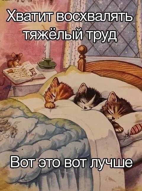 Котята вместо тяжёлой работы