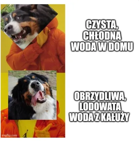 Woda z domu kontra kałuża