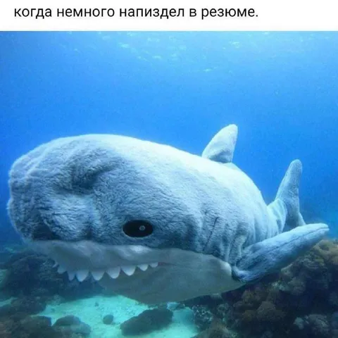 Немного напиздел в резюме