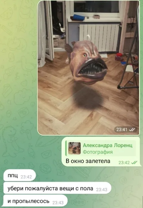 Рыба залетела в окно